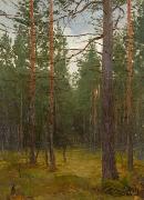 unknow artist Pine forest Sweden oil painting artist